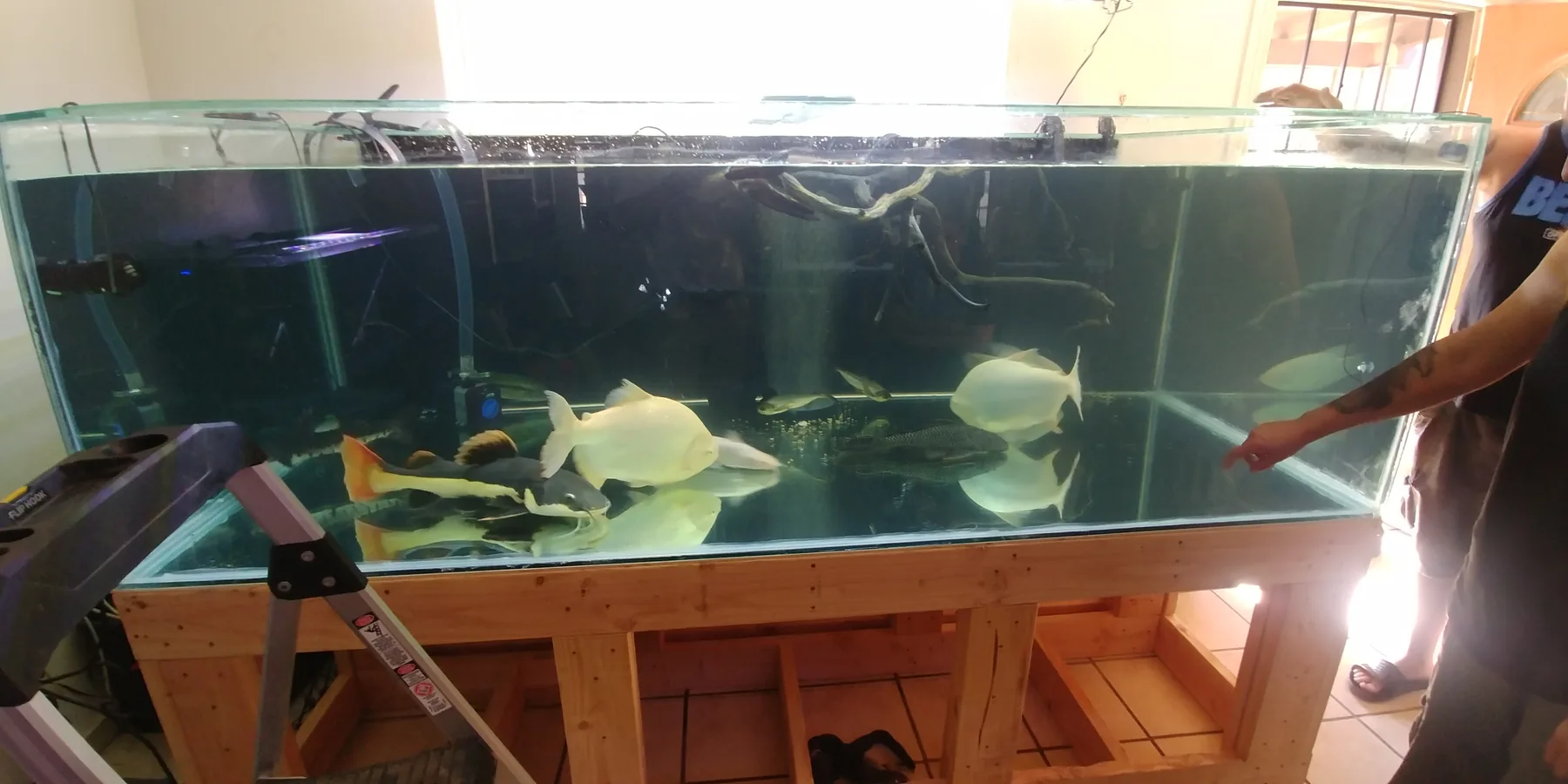Custom aquarium project